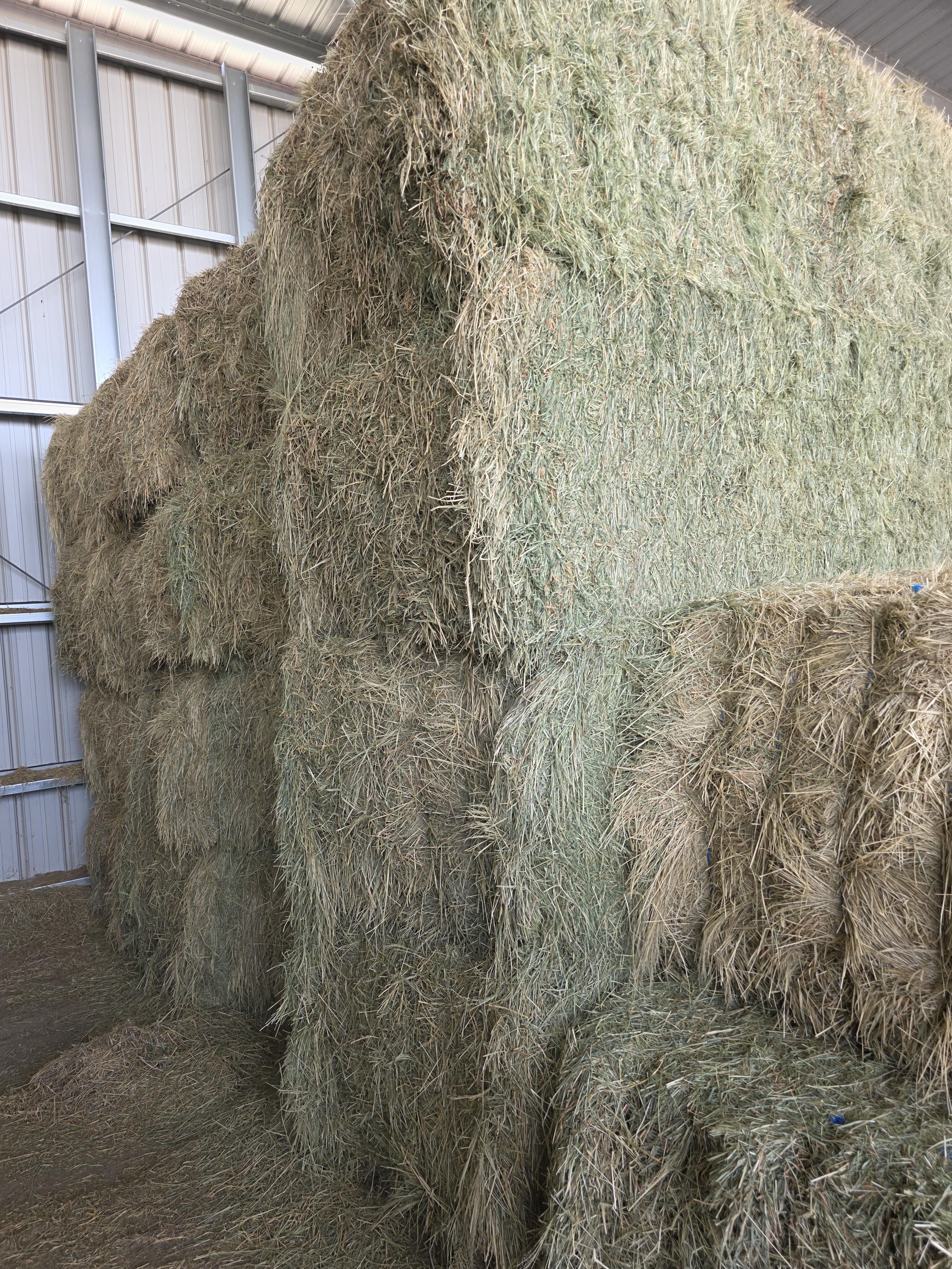 Large Square Bales