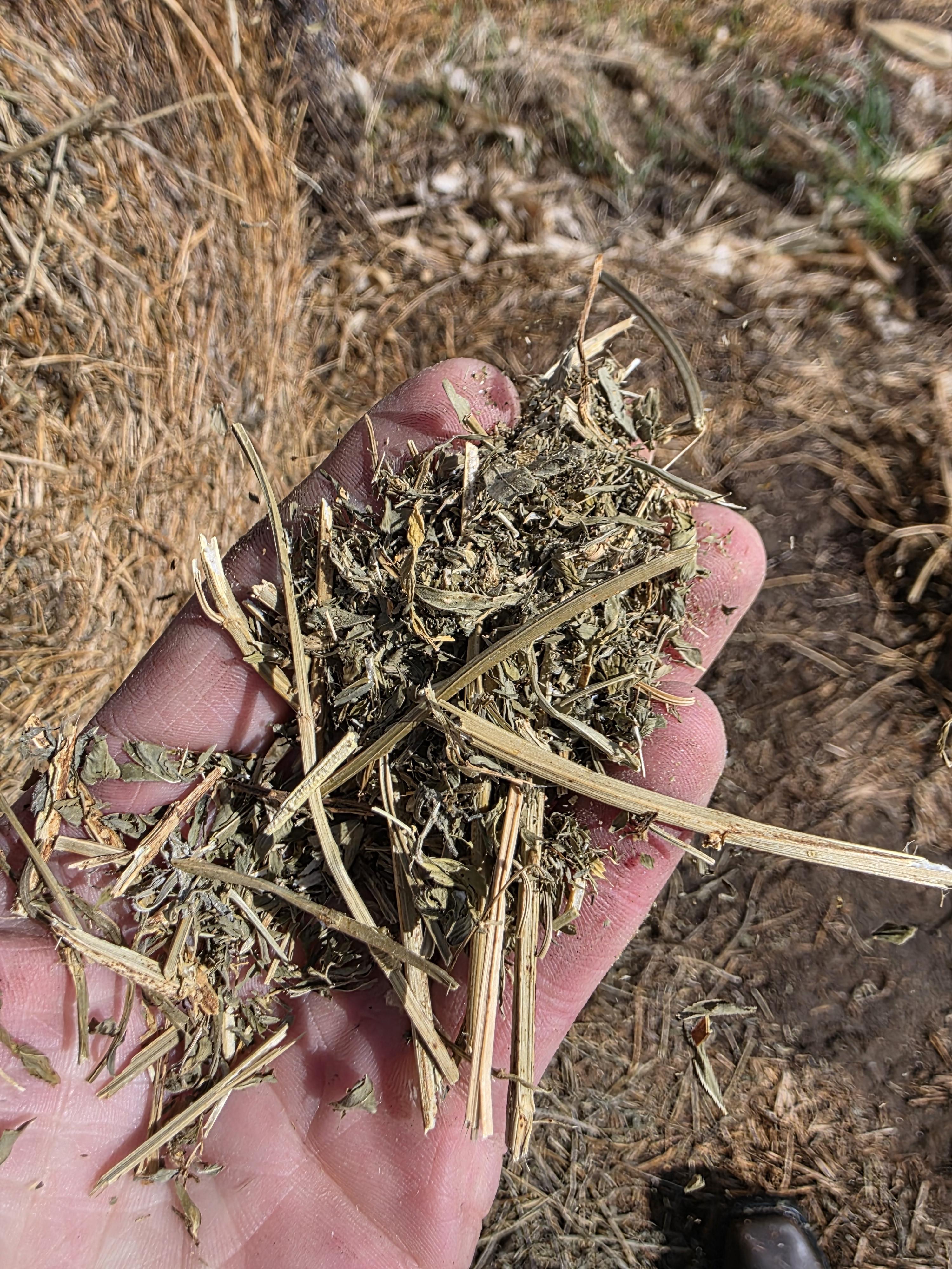 104 Alfalfa Rounds