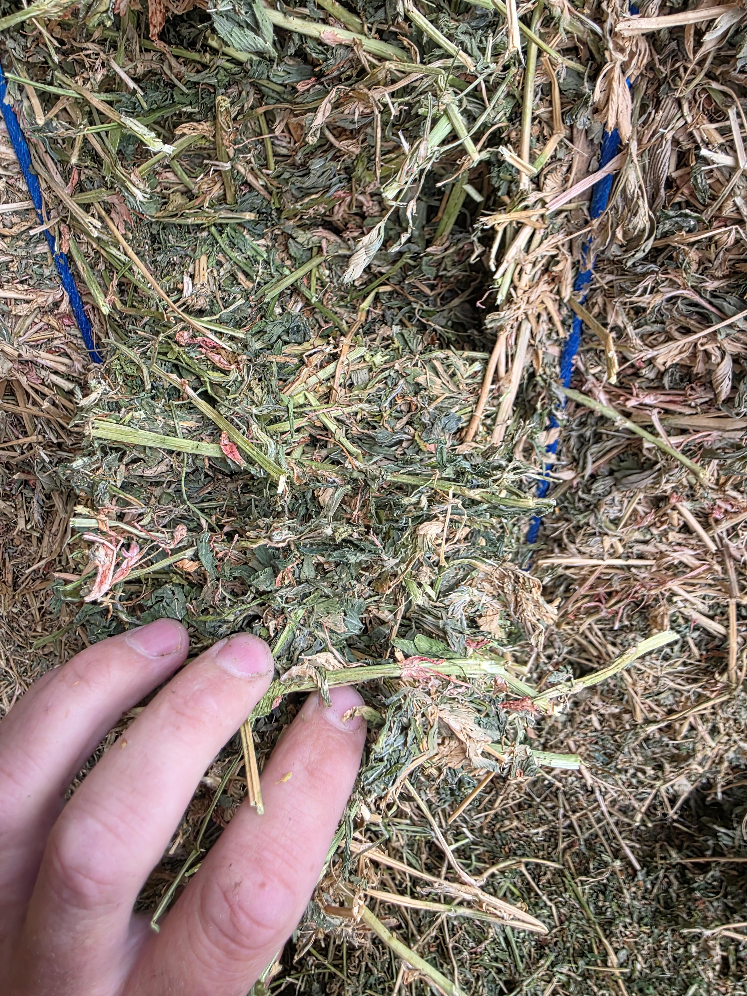 507 Large Square 3 x 4 Alfalfa Good Quality