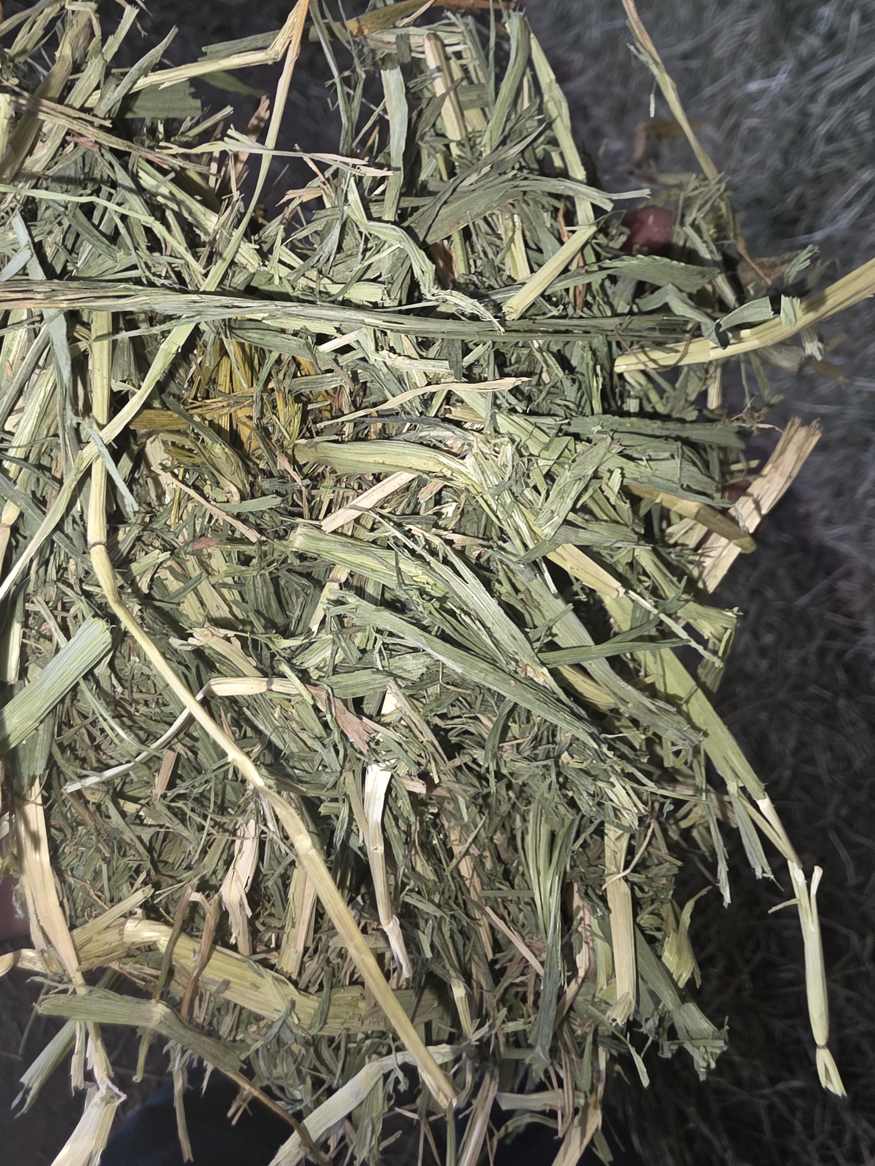 517 Grain Mix Large Square Bales Horse Quality