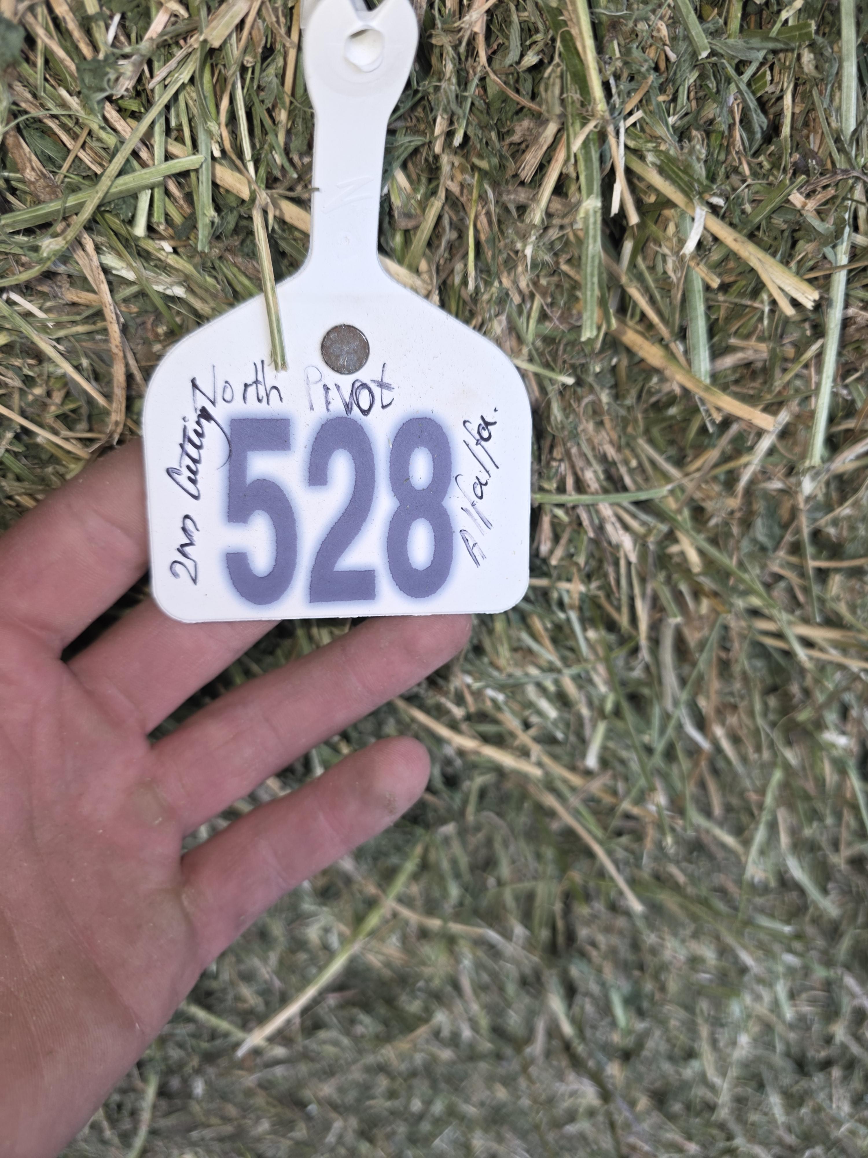 528 Large Square Alfalfa Horse quality