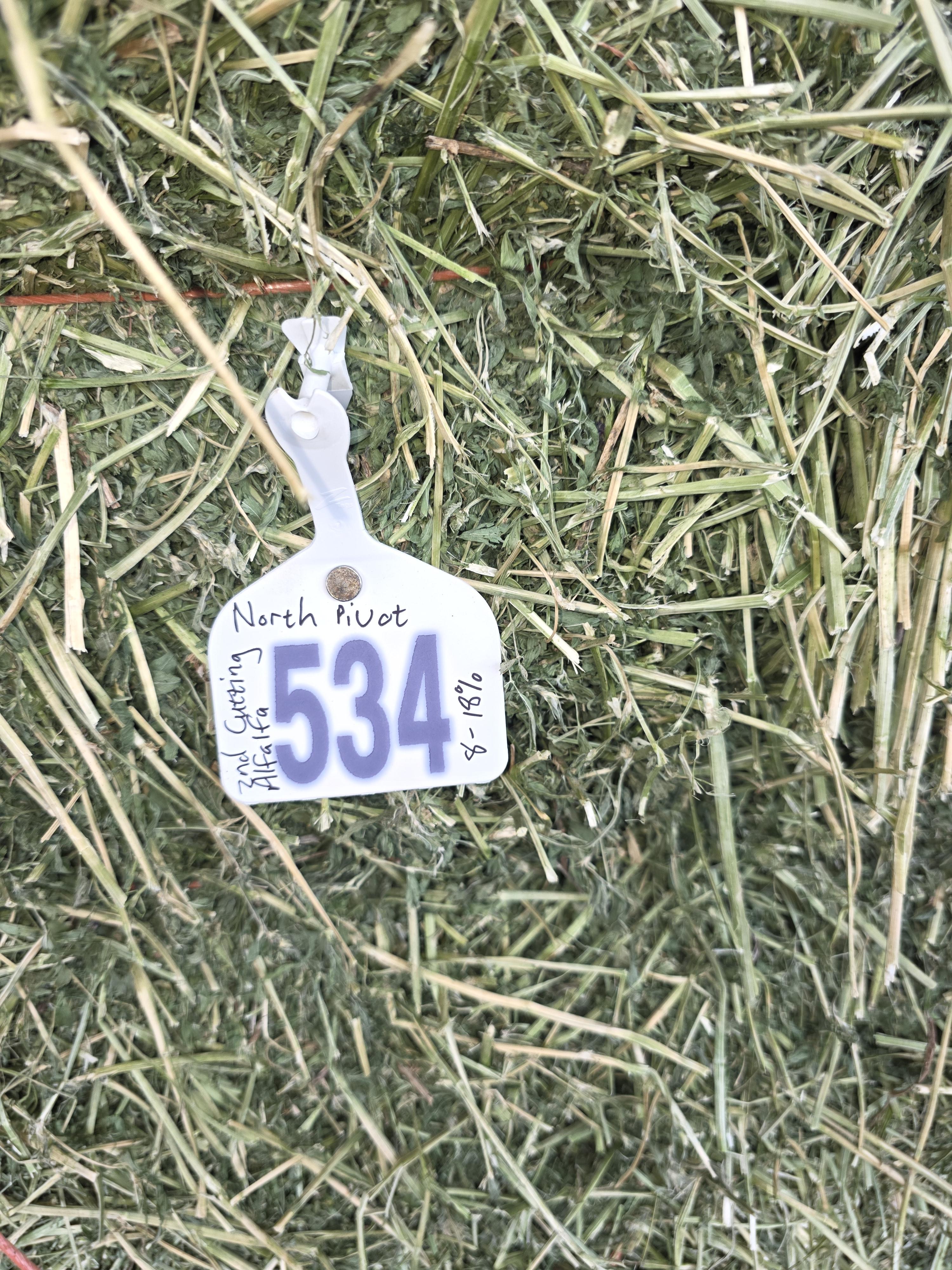 534 Small Square Alfalfa Horse quality
