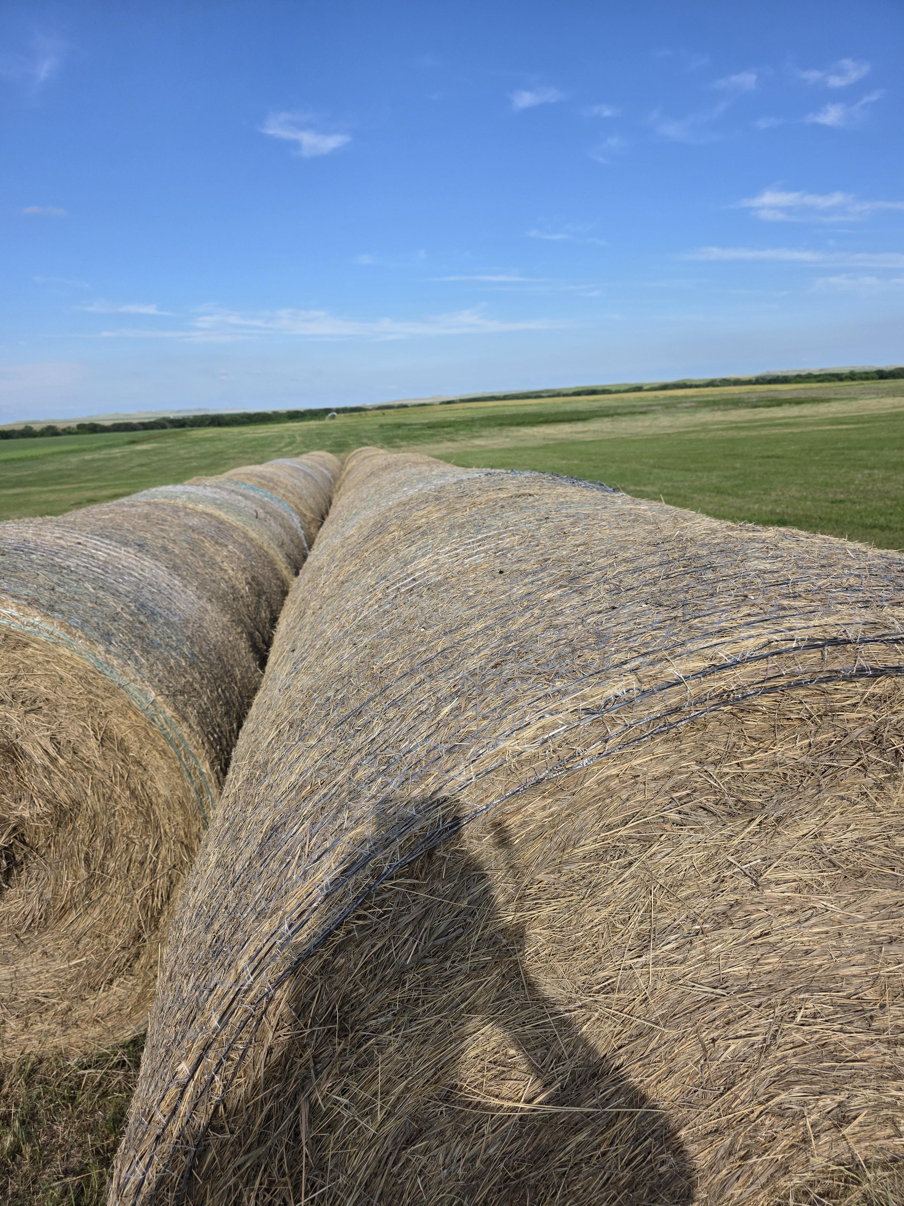004TD Prairie Hay Rounds
