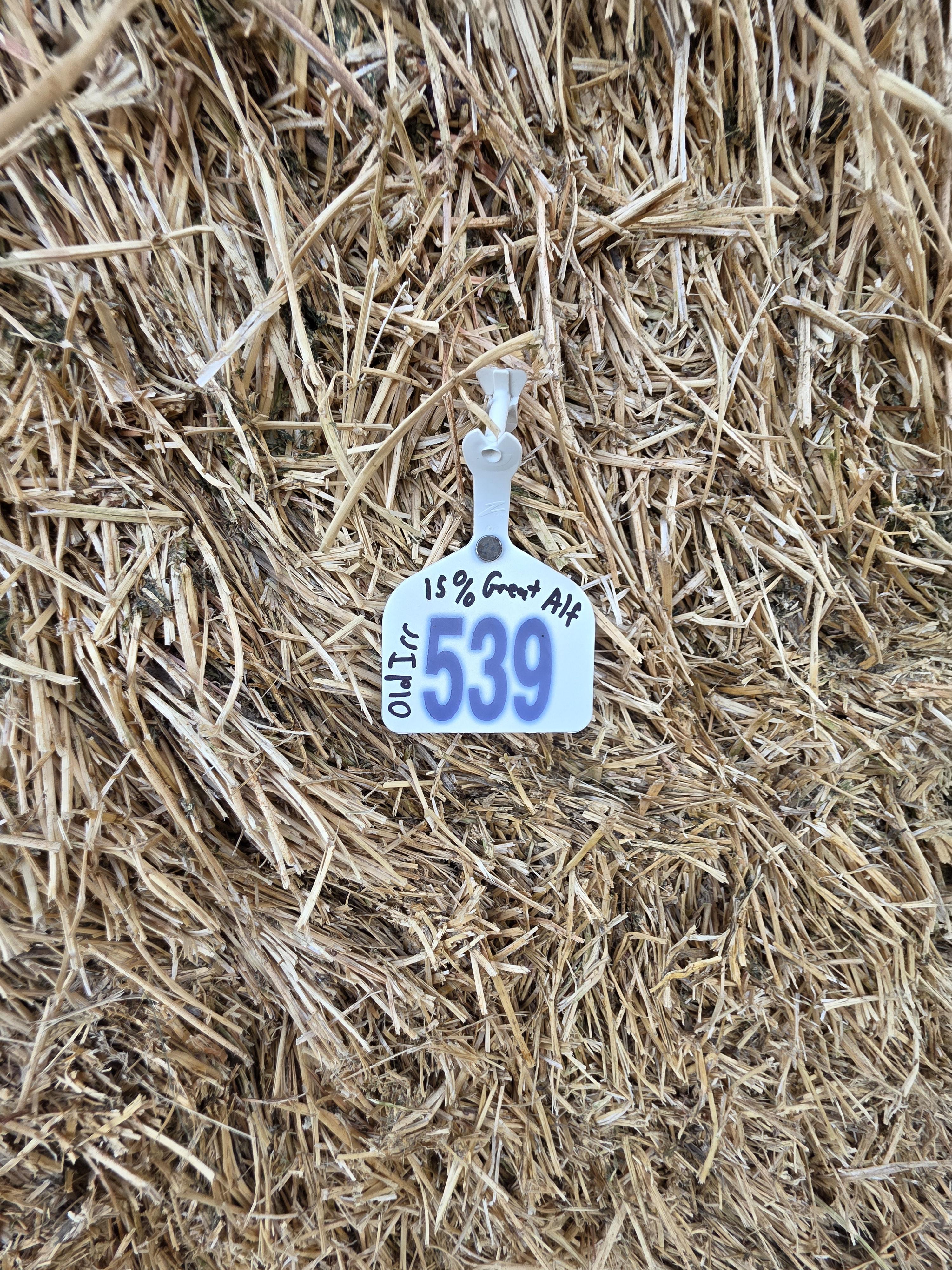 539 Large Square Alfalfa Bales