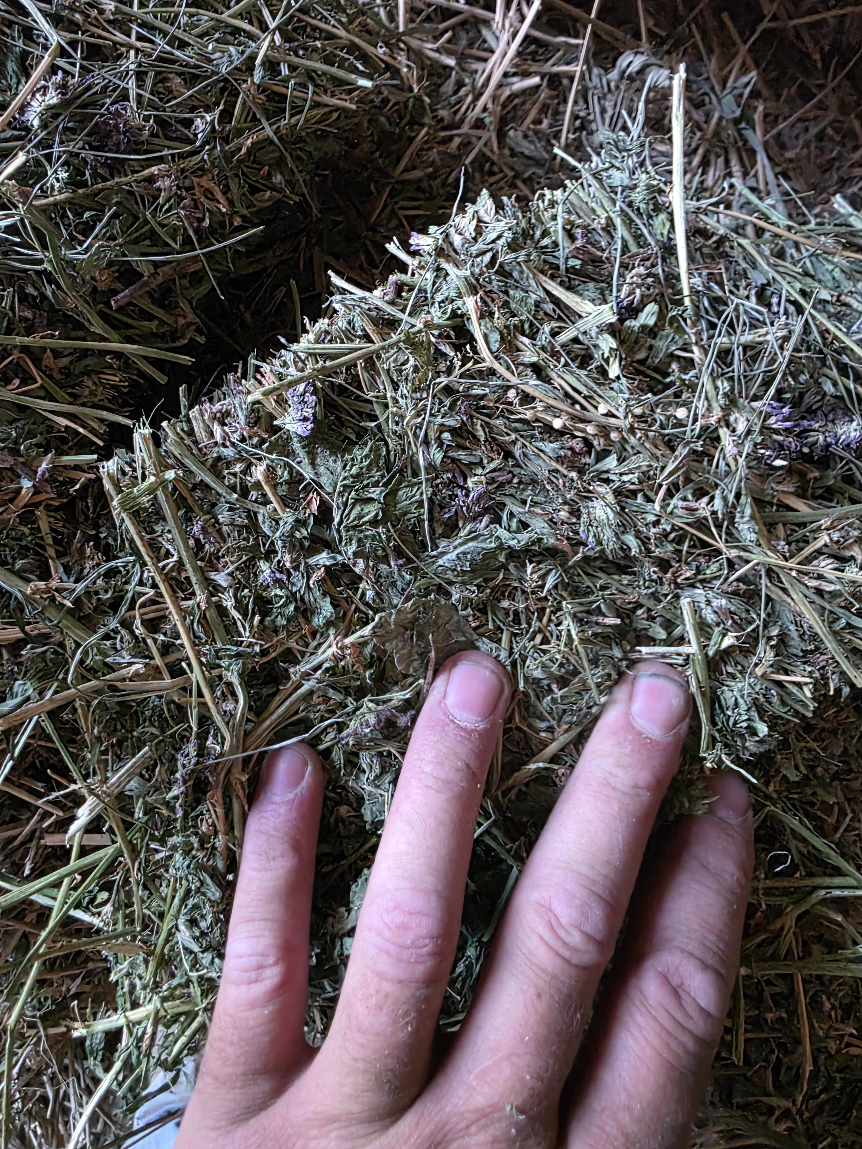 547 Alfalfa/Grass Mix Large Squares