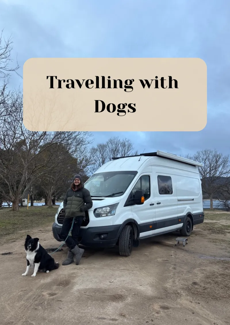 Travelling with Dogs - Tips and Tricks