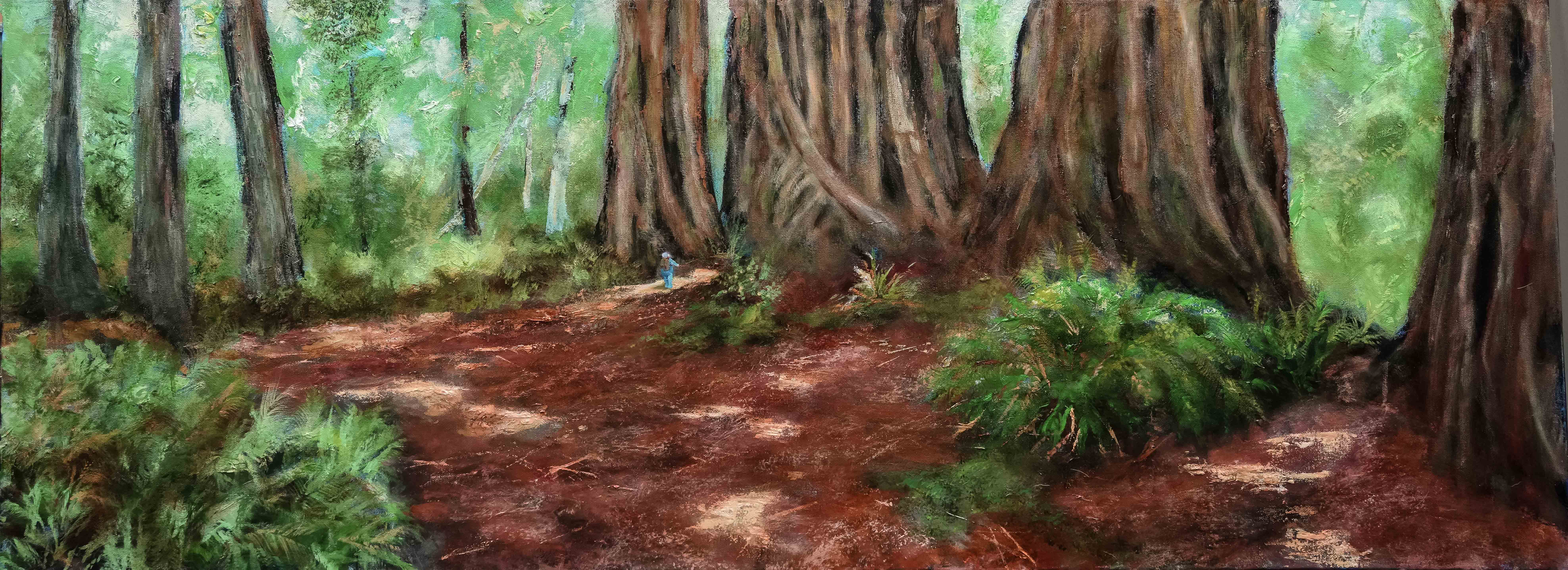 Redwoods, Prairie Creek State Park