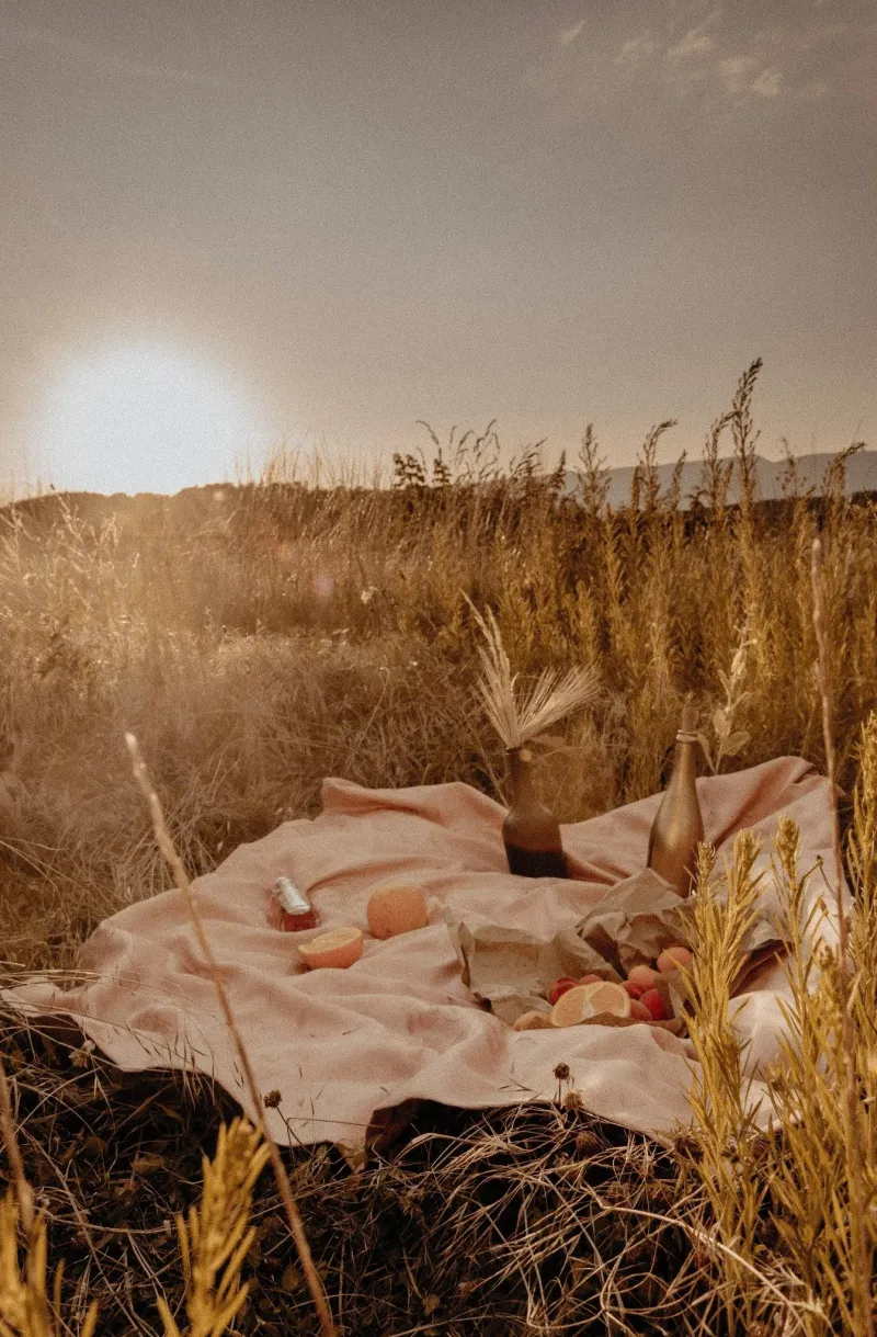 🌍 The Womb Palace: Earth, the Season Between All Seasons Workshop