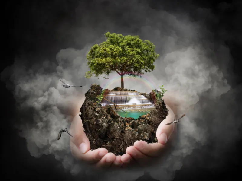 6 hour Advanced Higher Biology Project Bundle