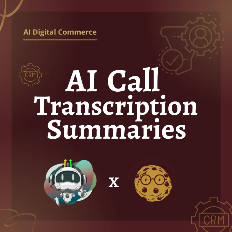 AI Call Transcription Summaries