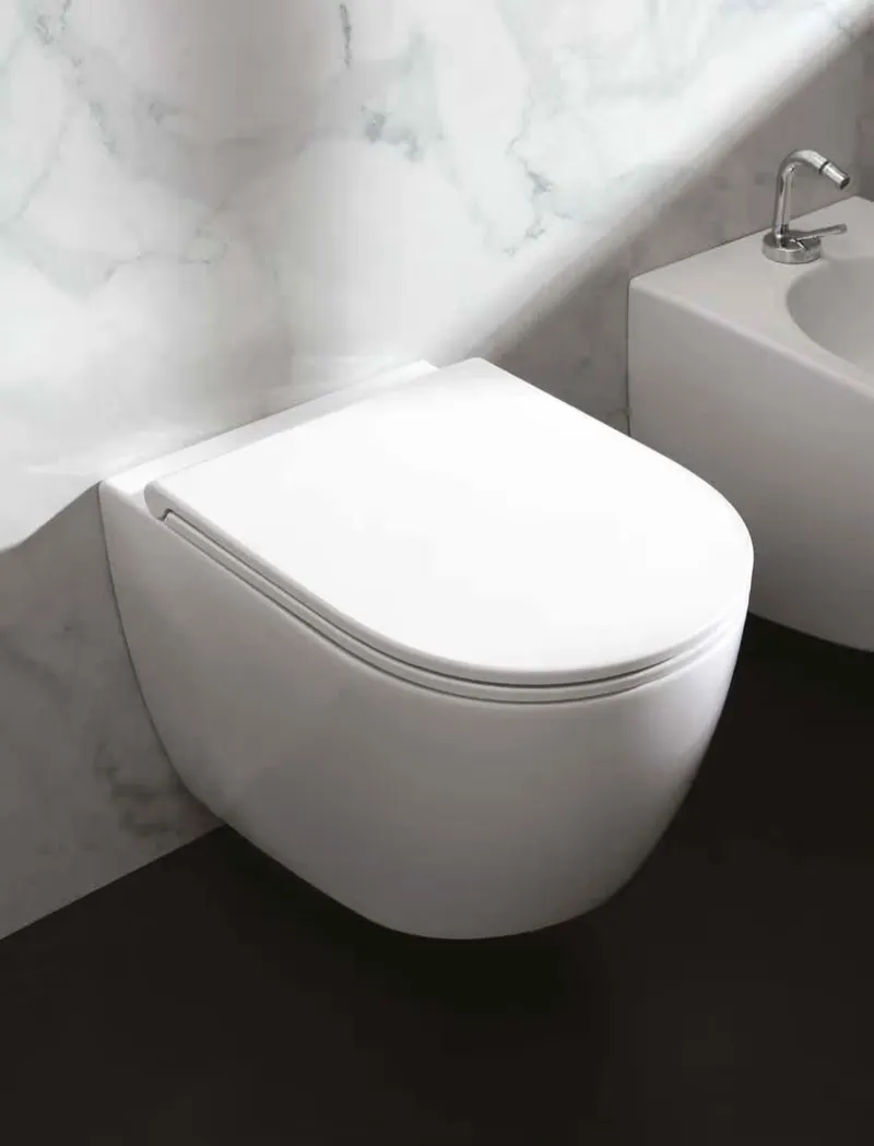 Planus wall-hung marine toilet