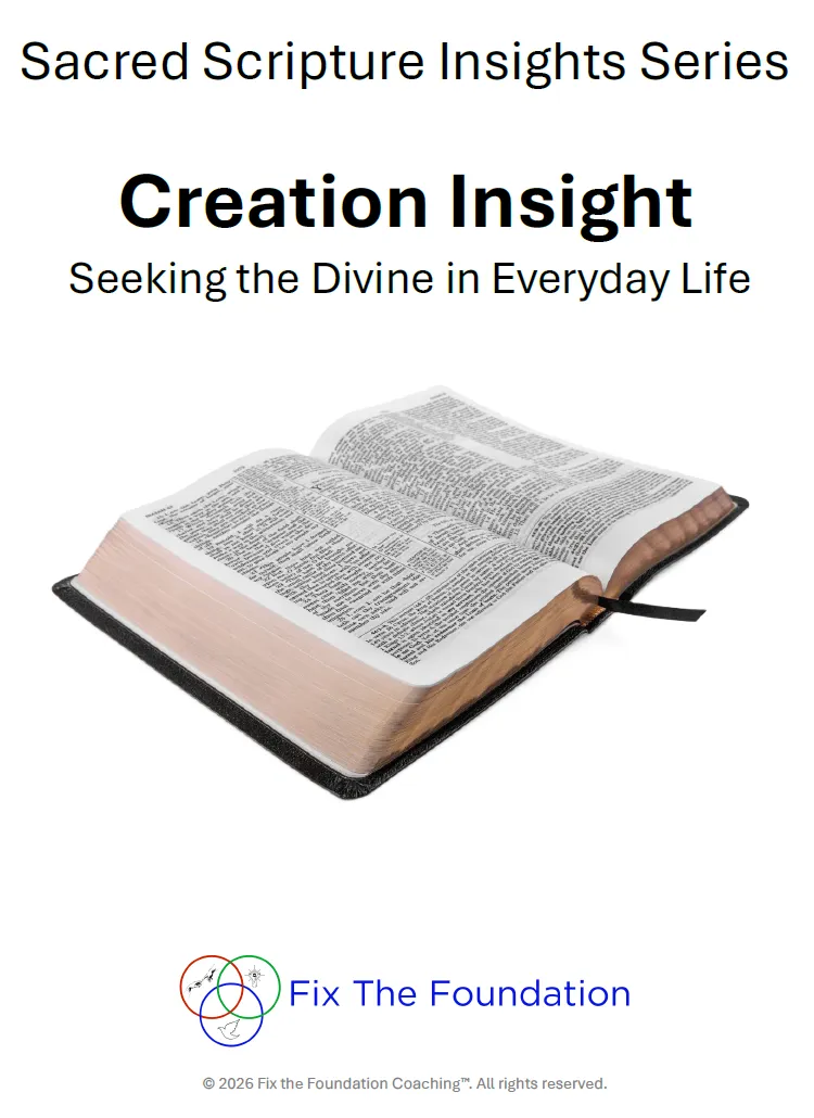 Biblical Creation Insight | Catholic Creation Stories Lesson & Facilitator Guide | Genesis 1 Study PDF