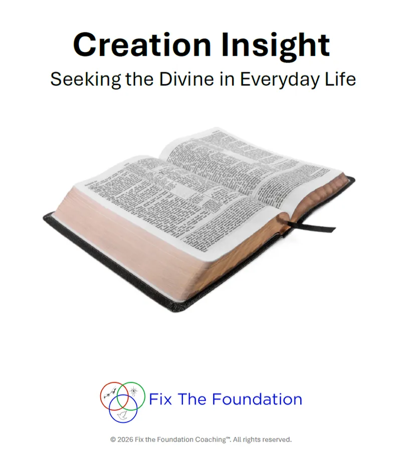 Creation Insight: Understanding Genesis 1 in Its Ancient Context