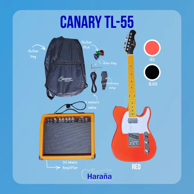 CANARY TL-55 + 30 WATTS AMPLIFIER