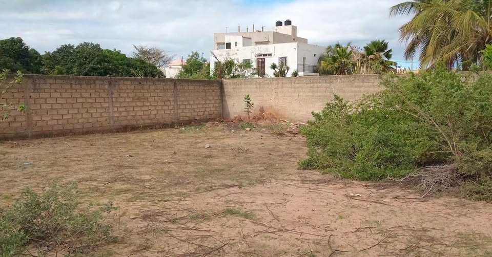 A VENDRE - TERRAIN - NGAPAROU 