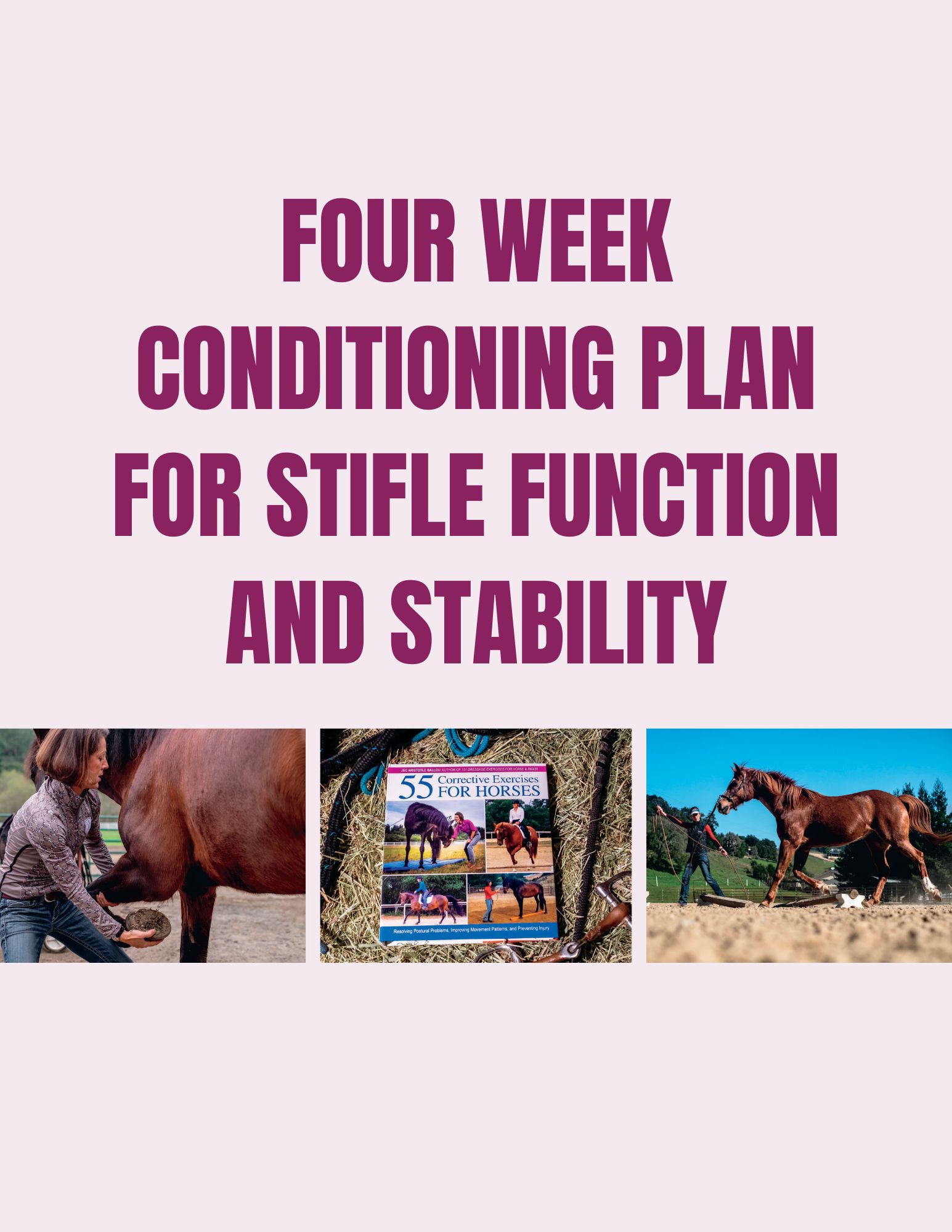 Stifle Function & Stability 4 Week Conditioning Plan 