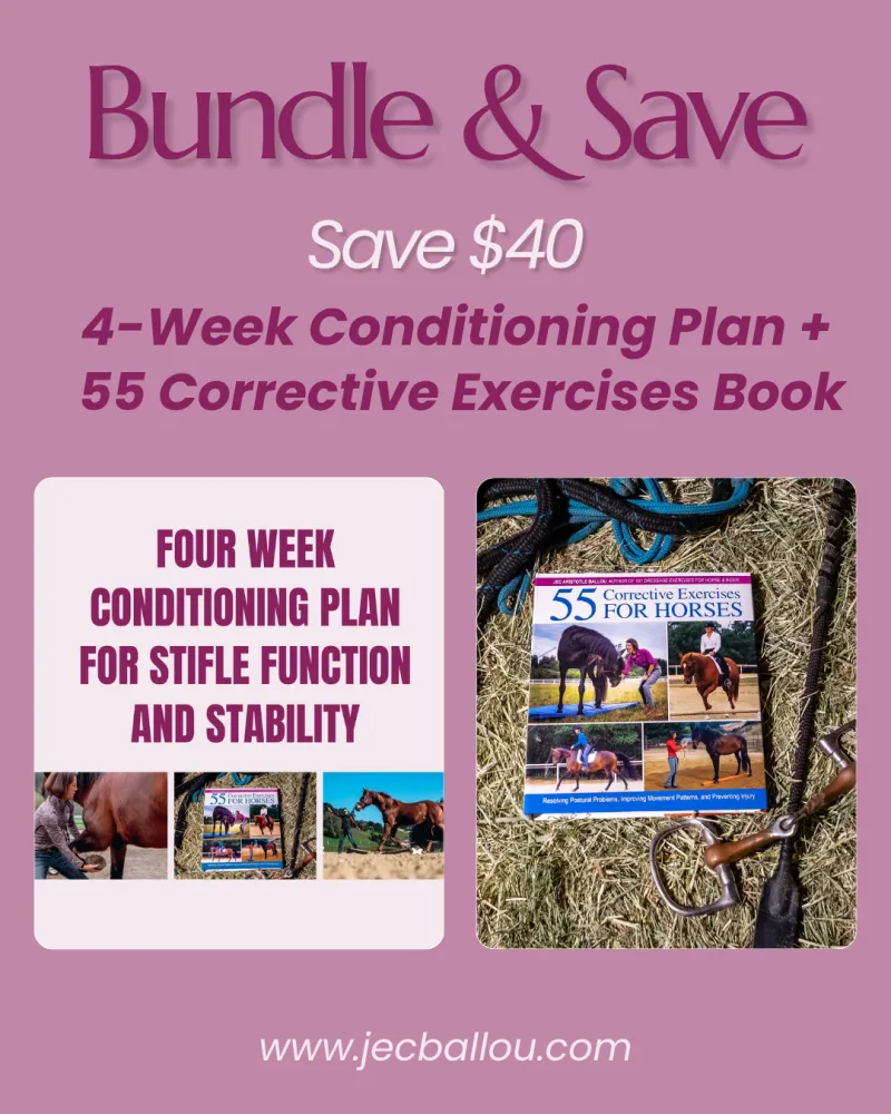 US ONLY LIMITED OFFER BUNDLE 4-Week Conditioning Plan + 55 Corrective Exercises Book.