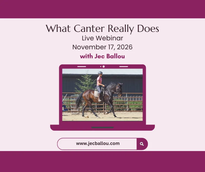 What Canter Really Does Live Webinar November 17, 2026