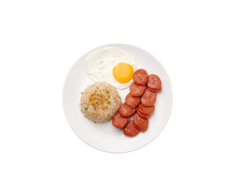 SAUSILOG
