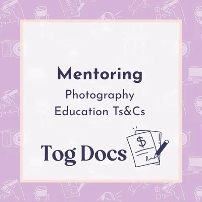 Terms & Conditions - Mentoring