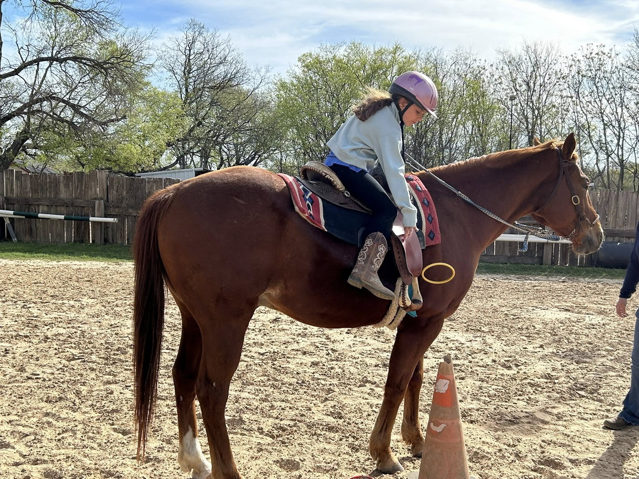 Ultimate Horse Challenge Camp