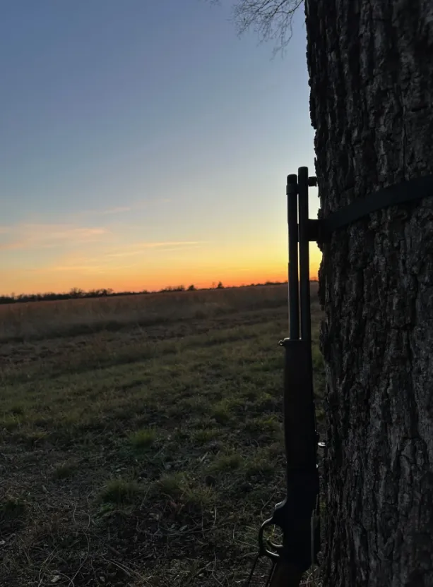 Tree Magnetic Gun Rest