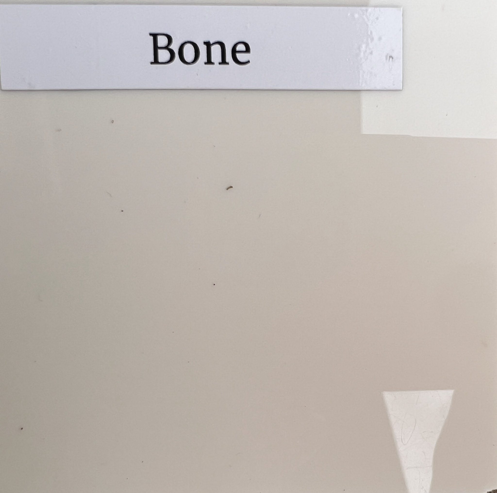 Bone Acrylic Dance Floor 