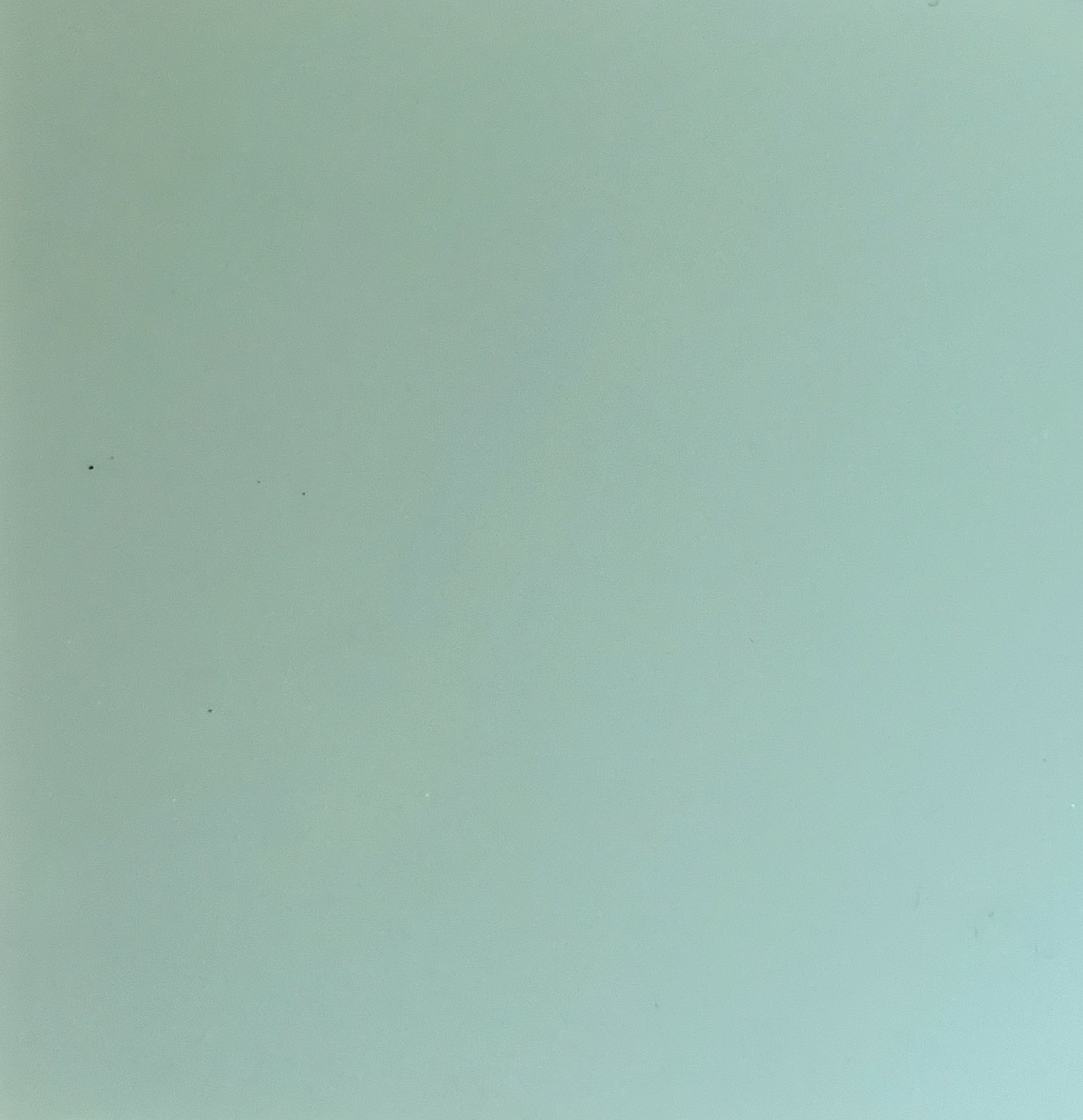 Olive Pastel Laminate Dance Floor 
