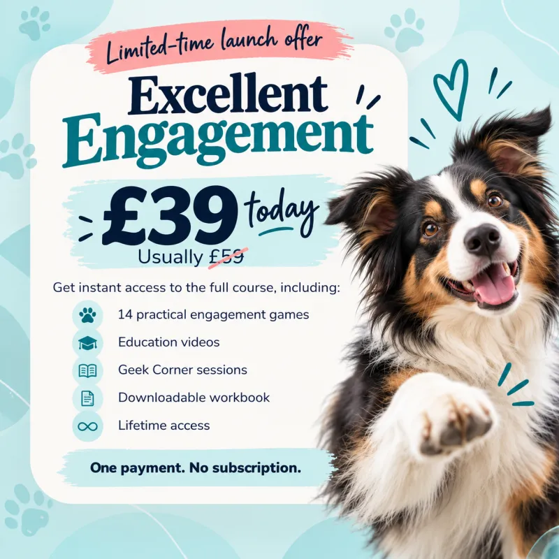 Excellent Engagement 
