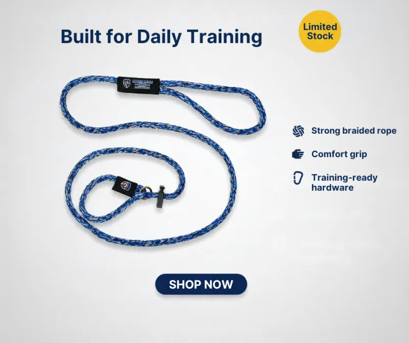 6 Ft Loop Leash / Lead