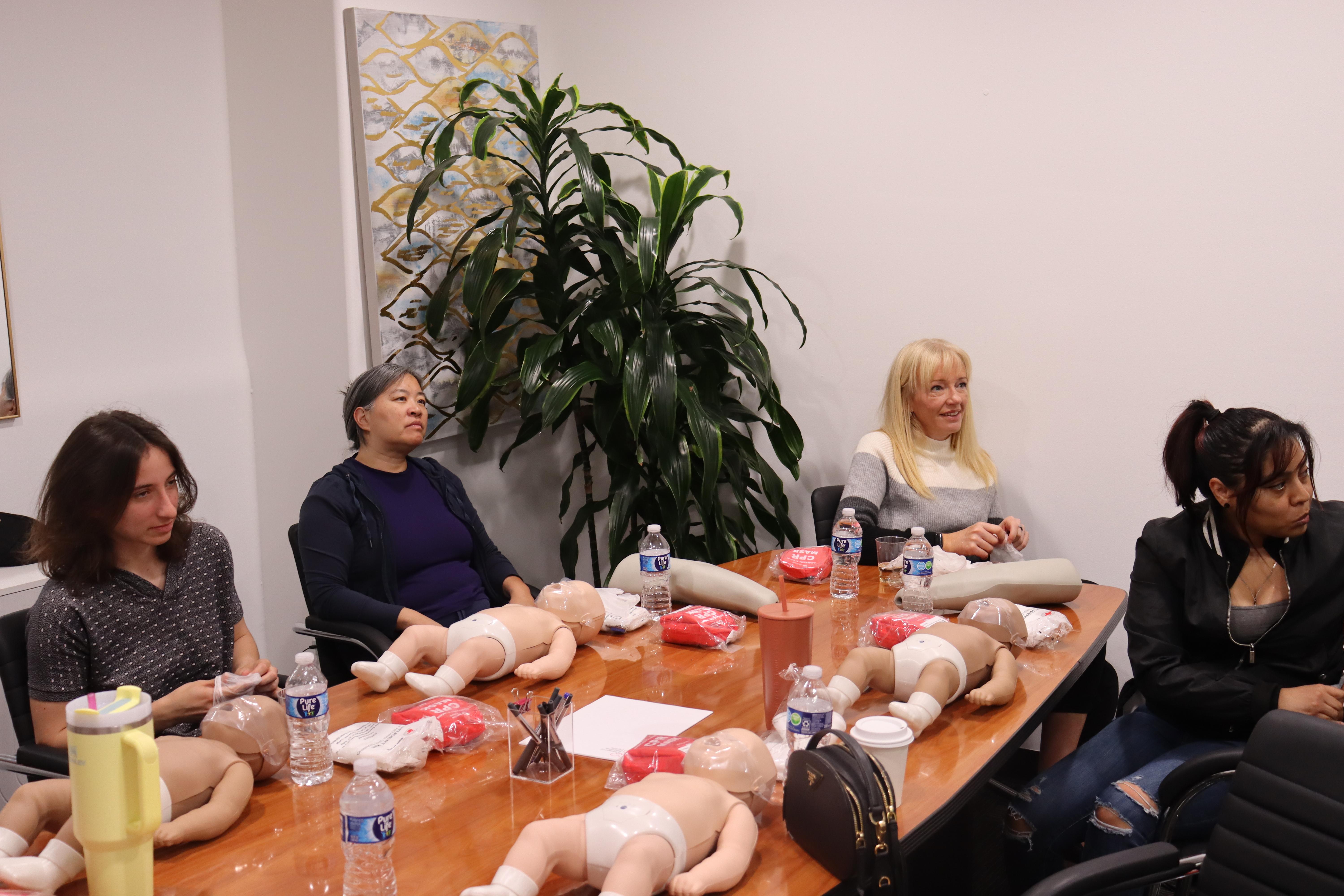 Standard Group Training - Basic Life Support