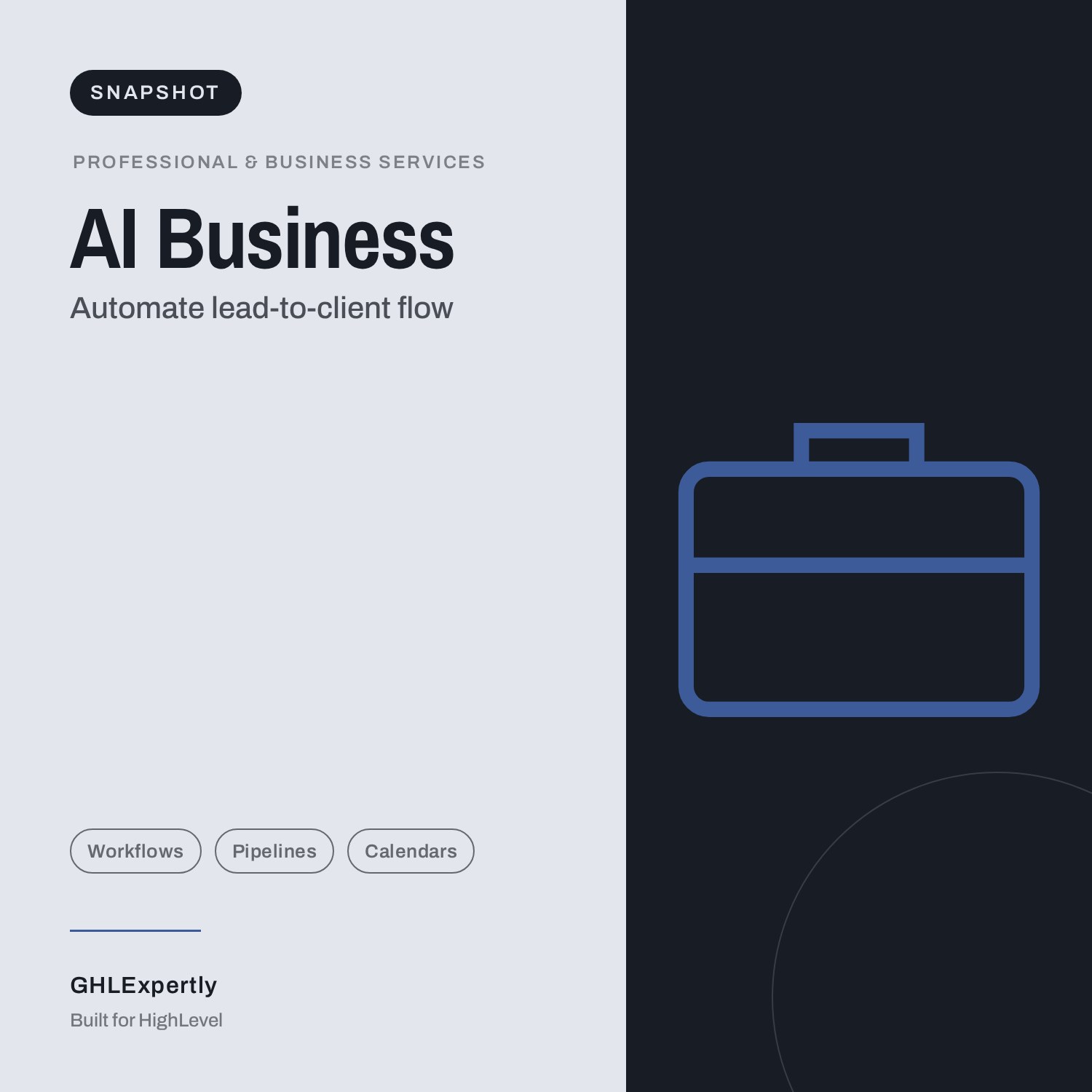 AI Business Snapshot
