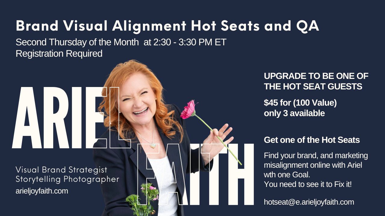 Brand Visual Alignment Hot Seat VIP Guest 