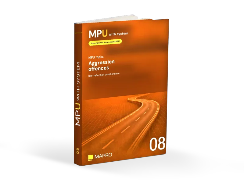 08 MPU Questionnaire: Aggression Offences