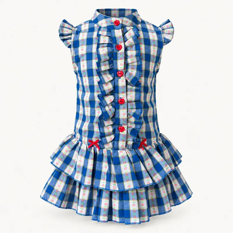 Blue Gingham Ruffle Dress