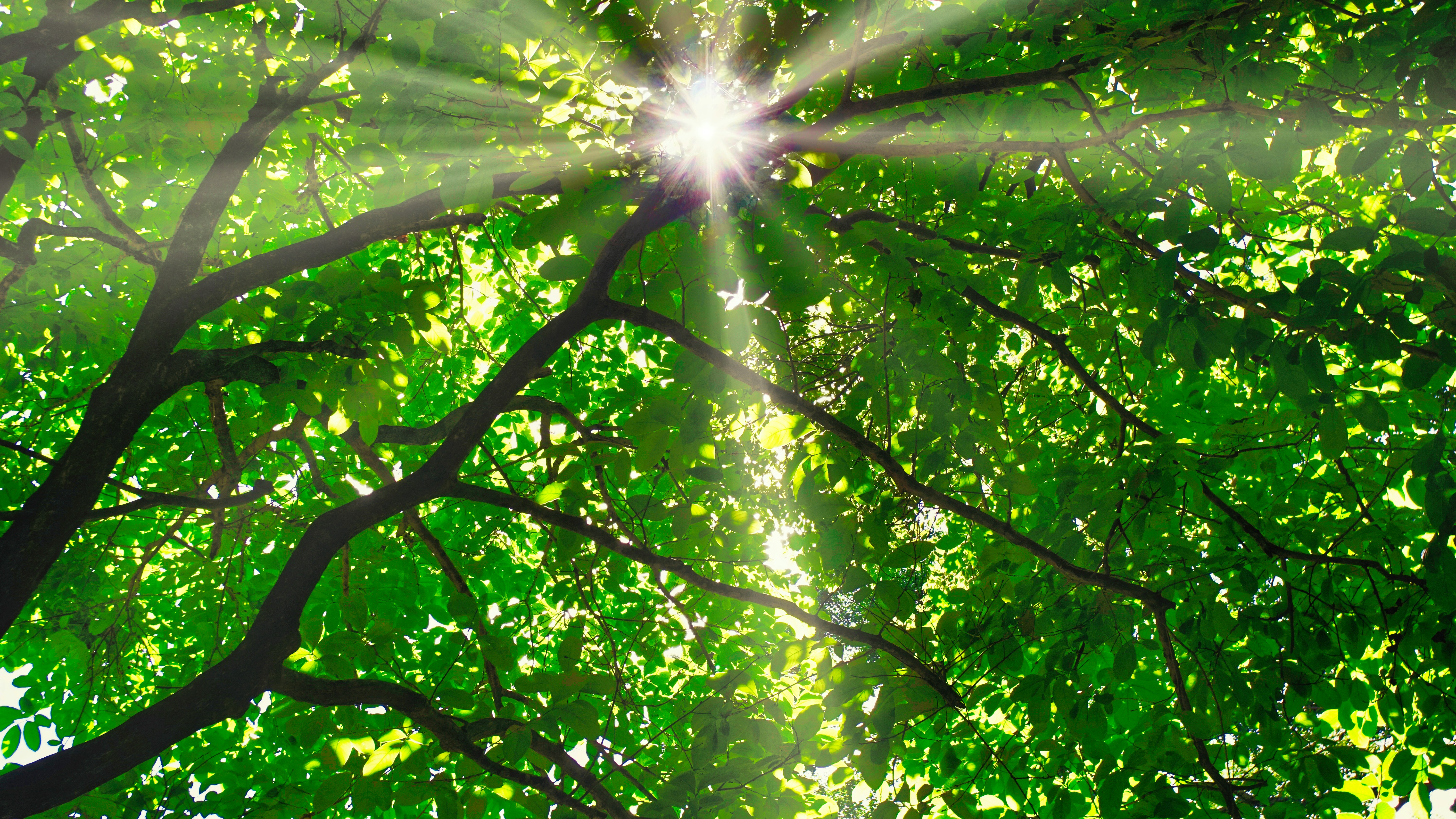 QUANTUM HEALING & ENERGY CLEARING