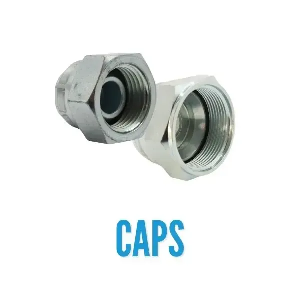 Blanking caps