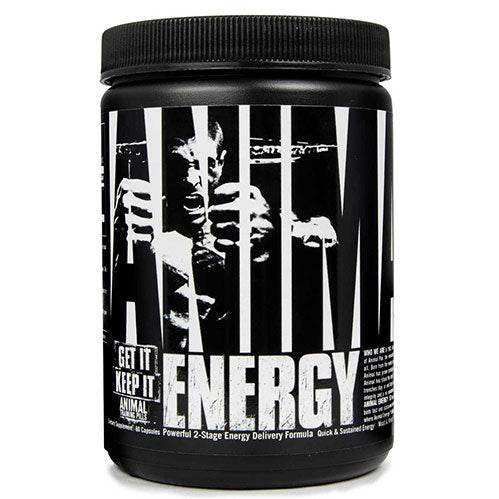 Animal Energy