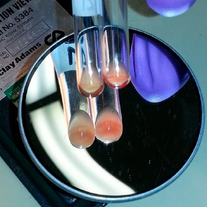 Blood bank practical procedures course introduction