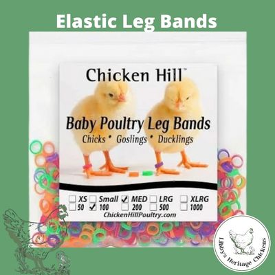 Elastic Chick Leg Bands