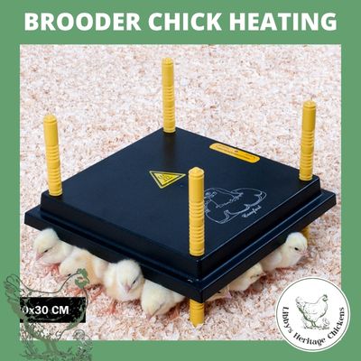 Brooder Heating Chickplate 25x25cm (13 Watt)