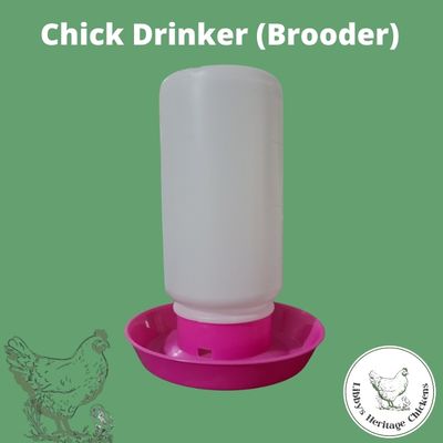 Chick Drinker (Brooder)