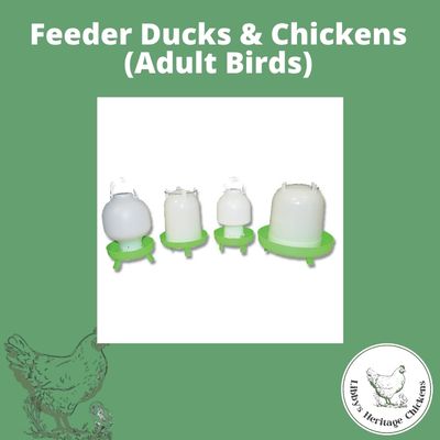 Drinker Chicken Ball Type with Legs