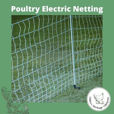 Poultry Electric Netting - NO AUST POST DELIVERY