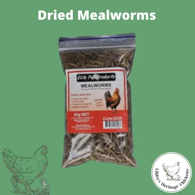 Dried Mealworms - Elite Pet Products