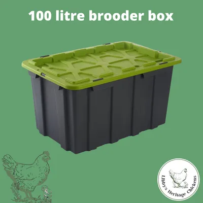 100 Litre Brooder Box -  NO AUST POST DELIVERY
