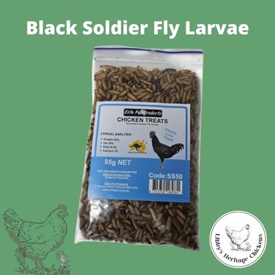 Black Soldier Fly Larvae 85g