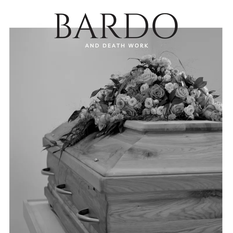 Bardo x Human Design