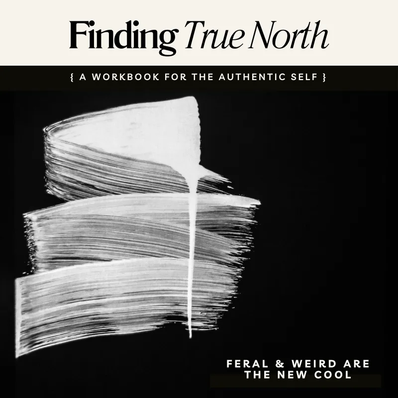Finding True North