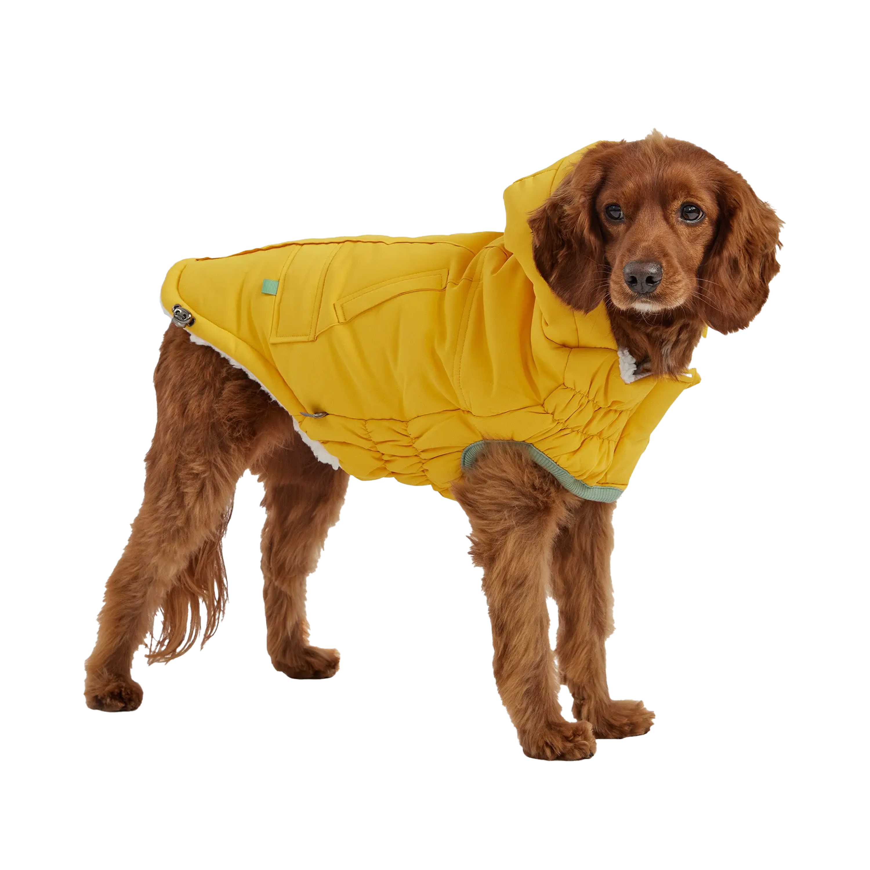Парка для собак GF Pet Arctic, жовта